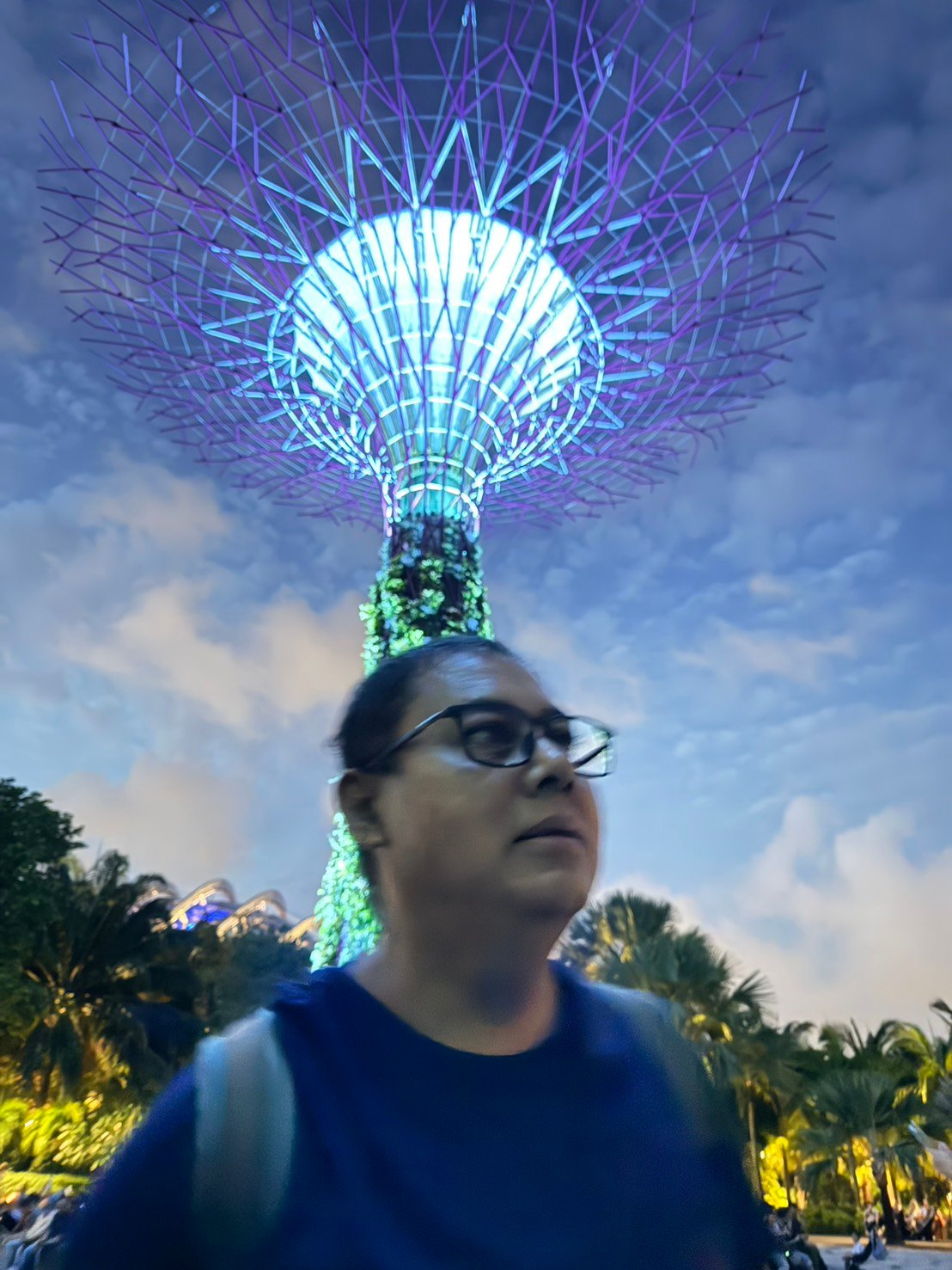 Supertree Grove