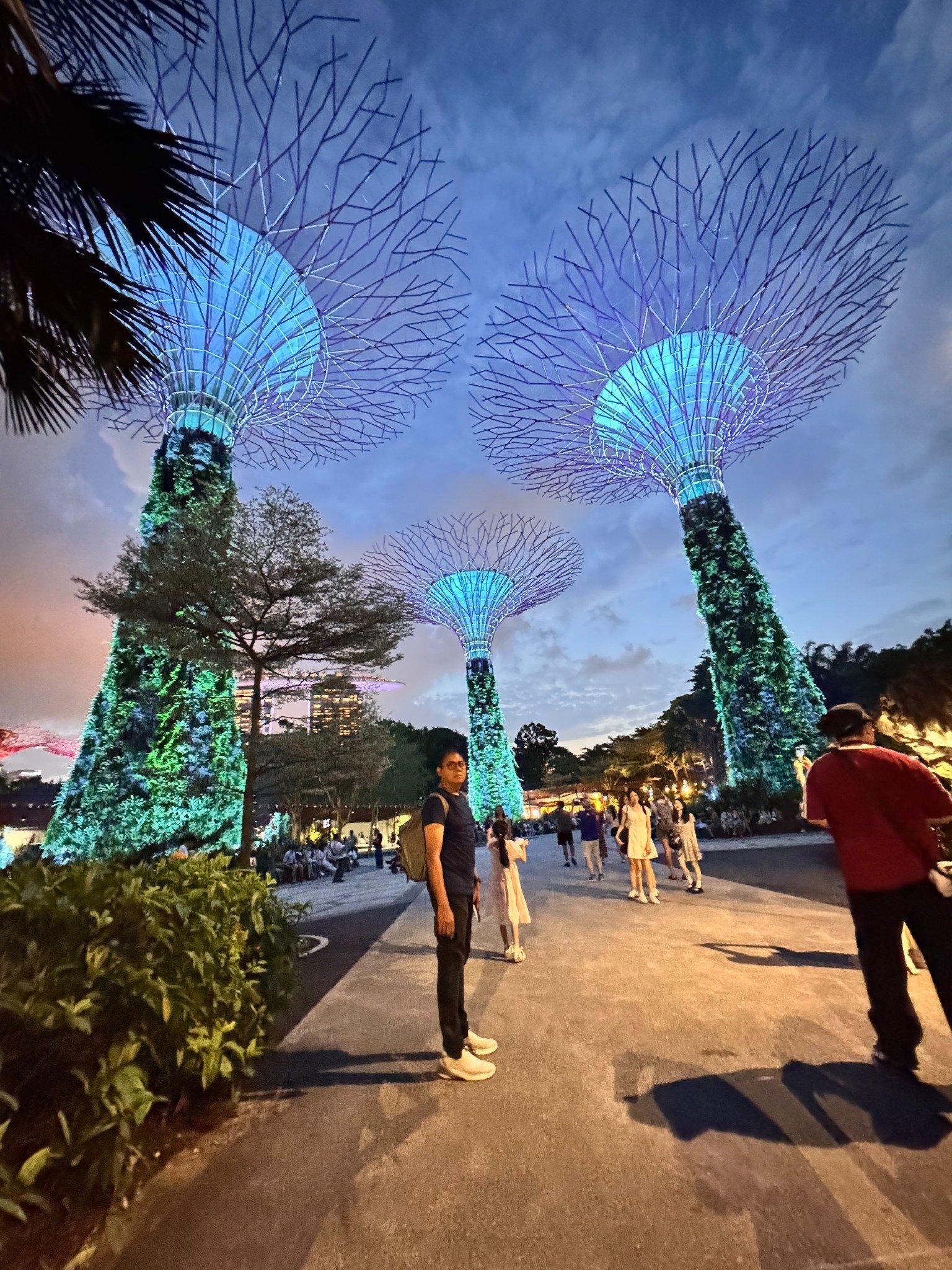 Supertrees at Gardens by the Bay